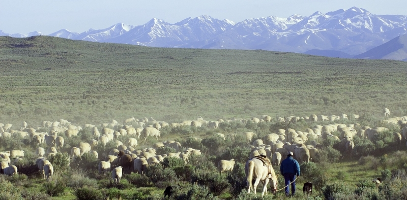 Western states have been at the forefront of debates about federal land management (BLM).