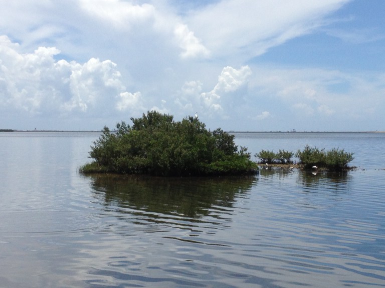 The Gulf Coast Ecosystem Restoration Council will use NEPA funds to restore coastal wetlands.