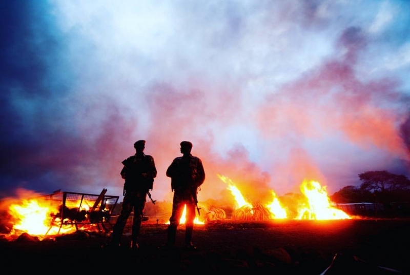 Follow Two Kenya Wildlife Service rangers are silhouetted by fire from burning ivory and rhino horn yesterday evening at Nairobi National Park. The message passed by the big burn is, 'If the ivory isn't on an animal, it's worthless. (Mwangi Kirubi)