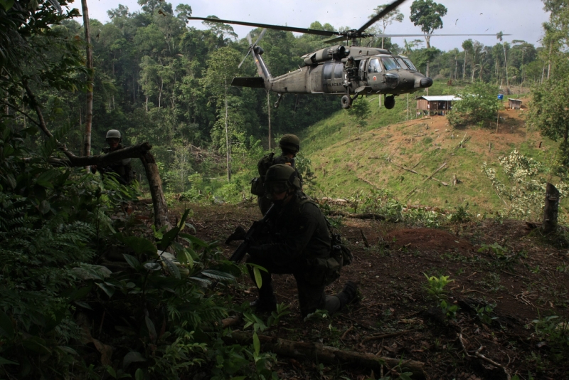 Antinarcotics police stand guard after destroying coca crops (Policia Nacional de los Colombianos)