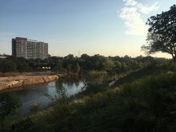 One of Buffalo Bayou's newest beaches, where erosion-preventing grass has begun to regrow.