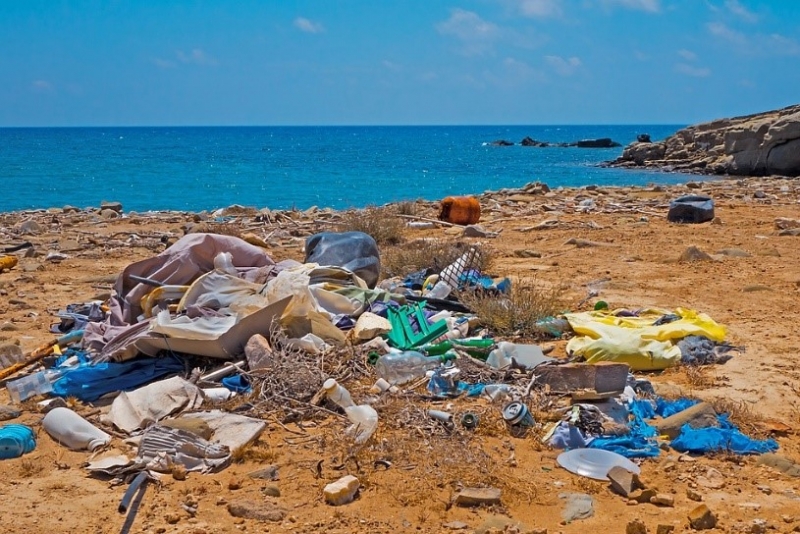 Beach Waste
