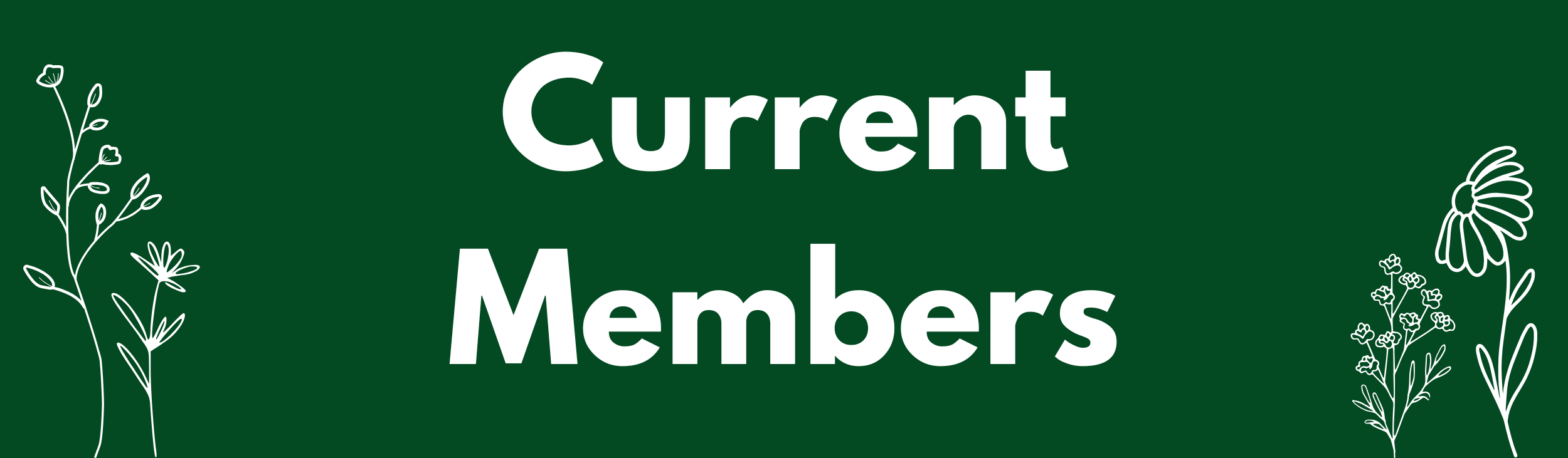 Website Banner for Current Members page