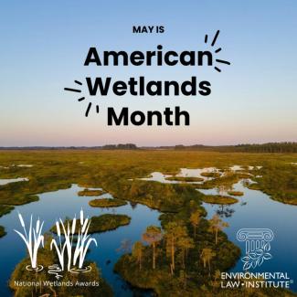 Wetlands Month