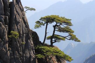 Chinese countryside