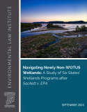 Navigating Newly Non WOTUS Wetlands Cover