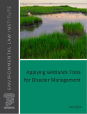 Applying Wetlands Tools for Disaster Management